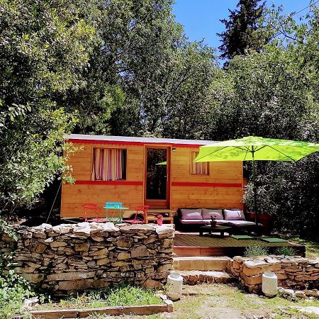 Bed and Breakfast Nîmes en Garrigues Exterior foto